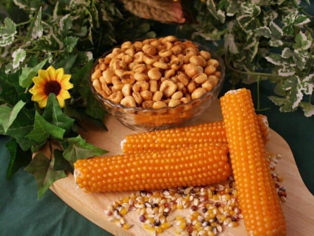 Corn Nuts