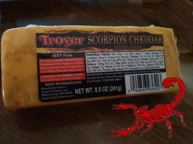Scorpion Cheddar