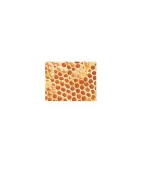 Tonn's Comb Honey