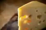 Baby Swiss Cheese