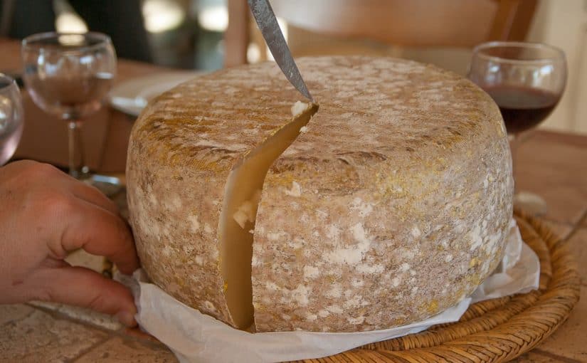 cheese