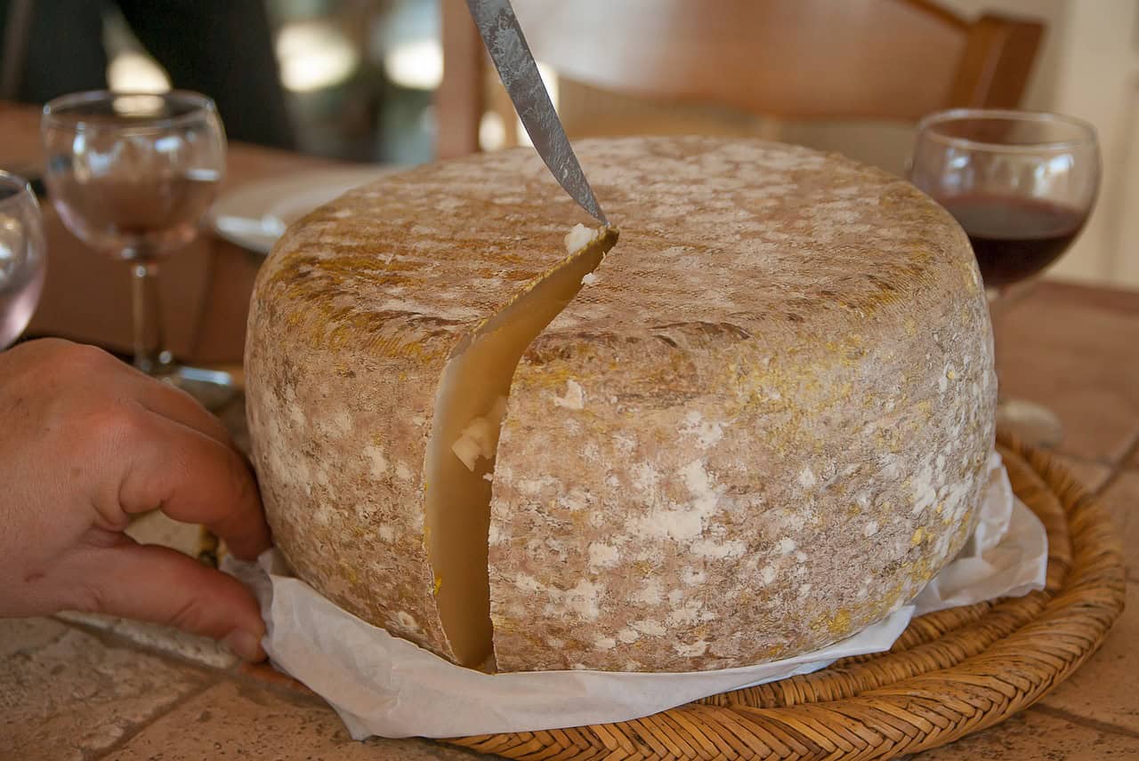 cheese